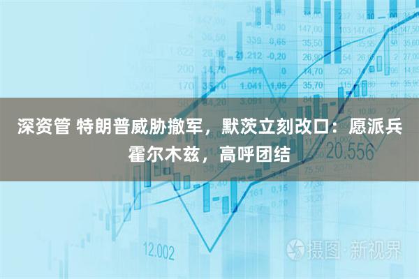 深资管 特朗普威胁撤军，默茨立刻改口：愿派兵霍尔木兹，高呼团结