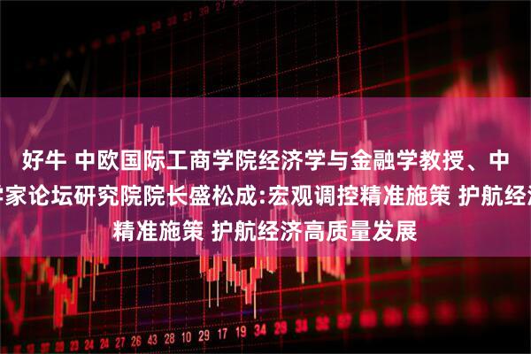 好牛 中欧国际工商学院经济学与金融学教授、中国首席经济学家论坛研究院院长盛松成:宏观调控精准施策 护航经济高质量发展