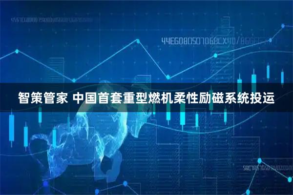 智策管家 中国首套重型燃机柔性励磁系统投运