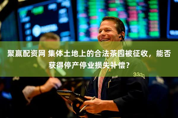 聚赢配资网 集体土地上的合法茶园被征收，能否获得停产停业损失补偿？